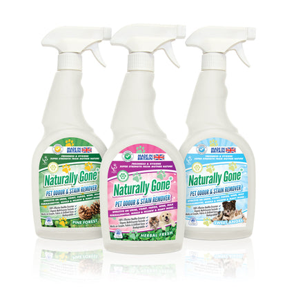 Airpure Naturally Gone - Odour & Stain Remover